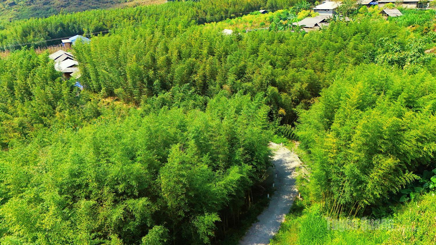 (Không chú thích).