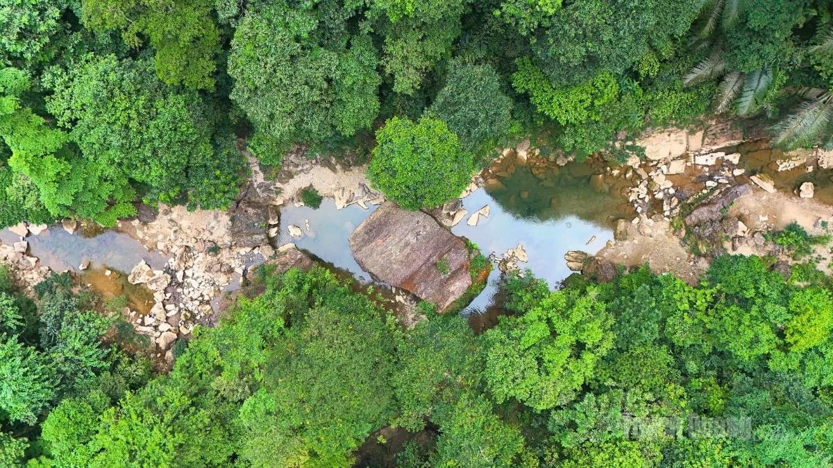 The stream is also surrounded by vast expanses of lush green forest. During the rainy season, the area takes on a particularly captivating beauty.