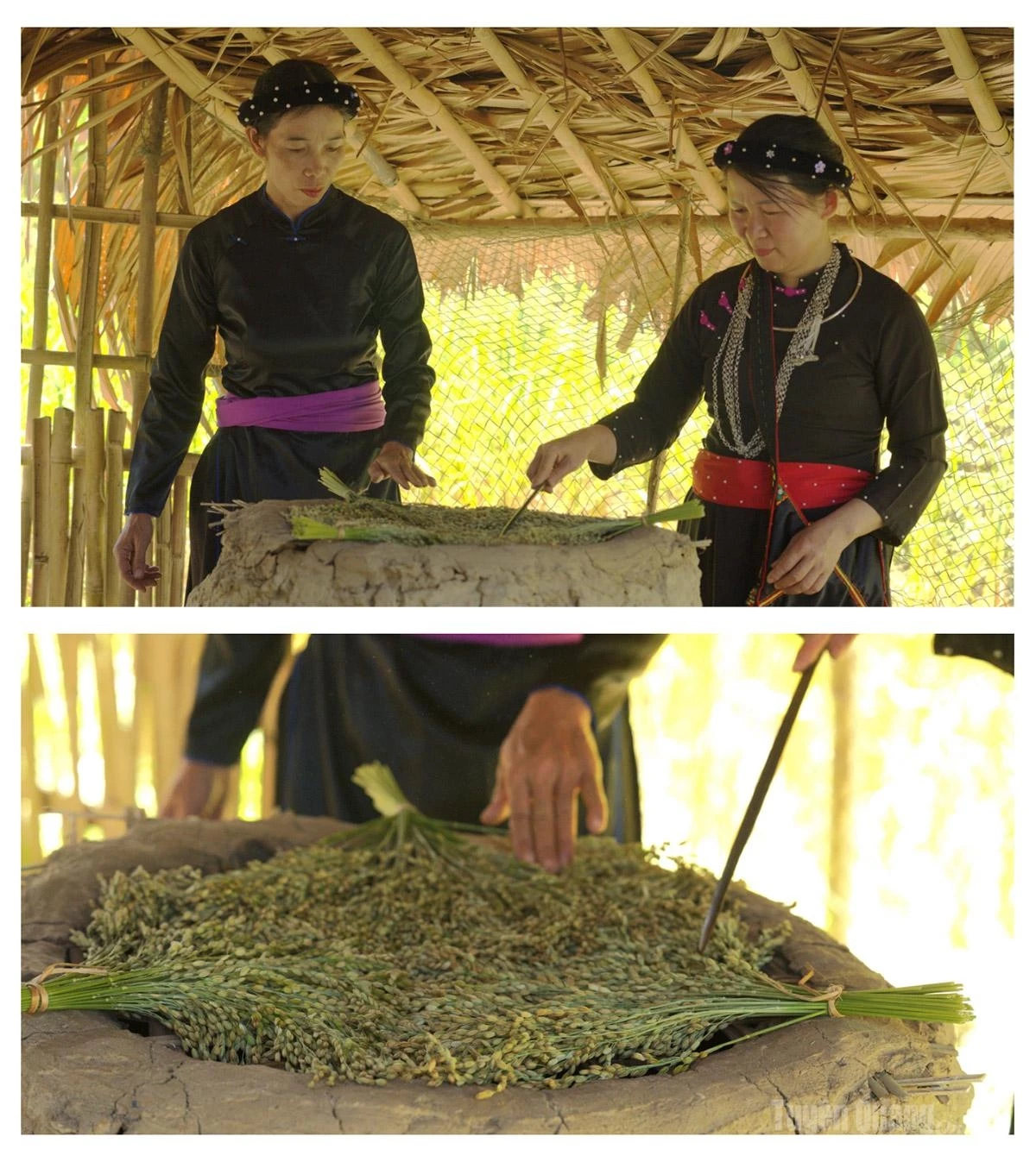 After harvesting, the rice is divided into small bundles and placed on fresh bamboo racks over a stove to dry. Firewood is used to enhance the aroma of the young green rice flakes. This stage also tests the skill of the makers, who must carefully maintain the right heat while quickly turning the rice bundles to ensure that the grains are evenly dried.