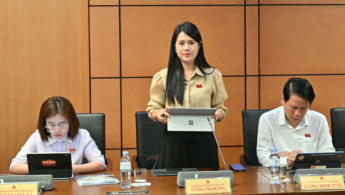 ĐBQH Vương Thị Hương phát biểu ý kiến.