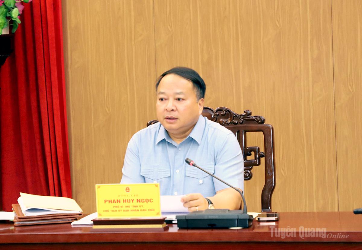 Phó Bí thư Tỉnh ủy, Chủ tịch UBND tỉnh Phan Huy Ngọc phát biểu kết luận buổi làm việc.