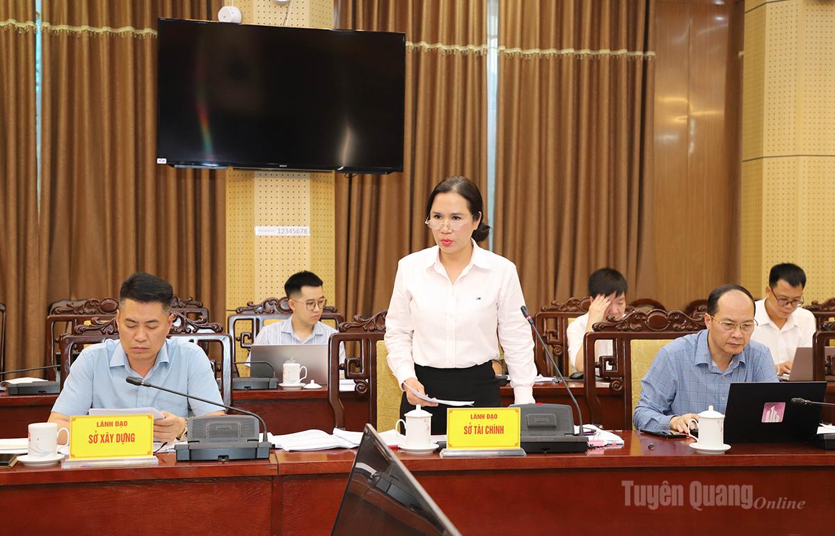 Giám đốc Sở Tài chính Phạm Kiều Vân báo cáo tại buổi làm việc.