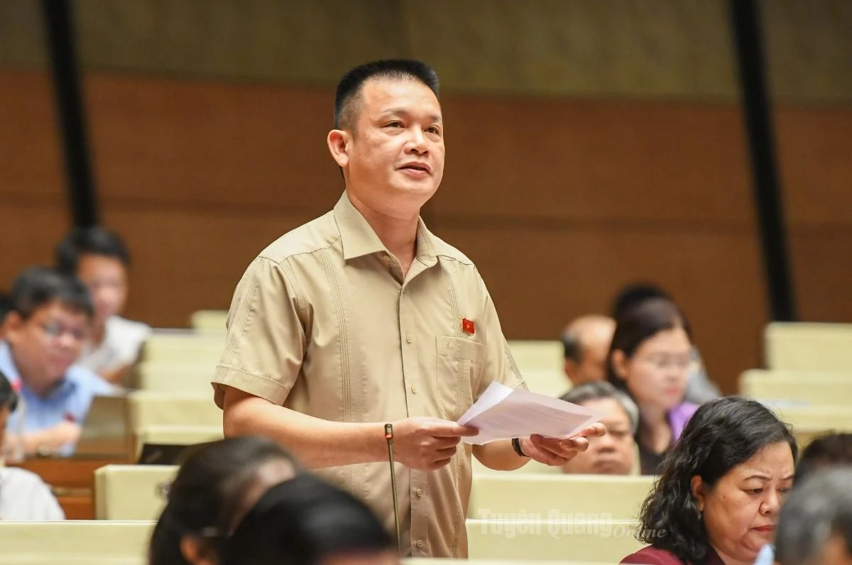 ĐBQH Hoàng Ngọc Định thảo luận.