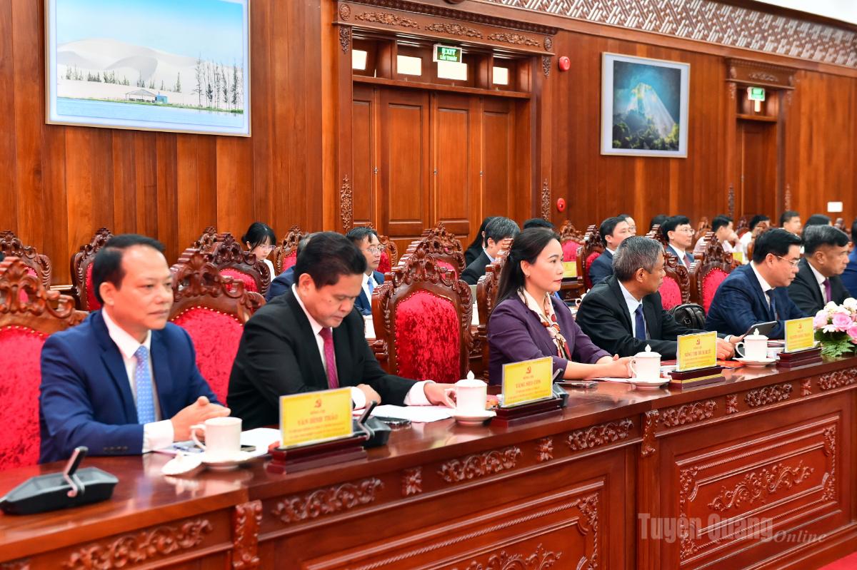 Các đồng chí Ủy viên Ban Thường vụ Tỉnh ủy dự hội nghị.