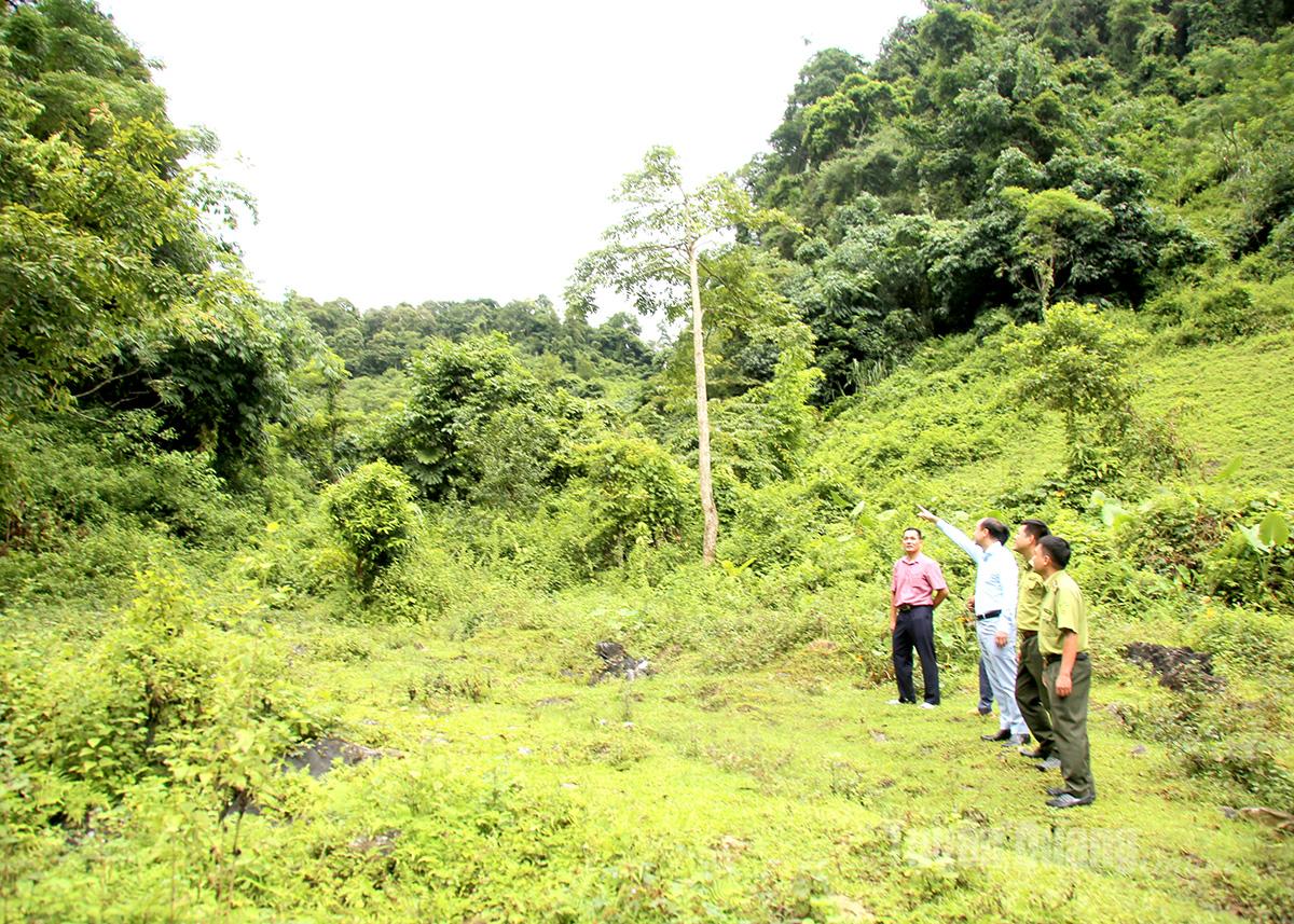 Leaders of Kien Dai commune and forest rangers inspect forest patrol activities in Khau Tam hamlet.