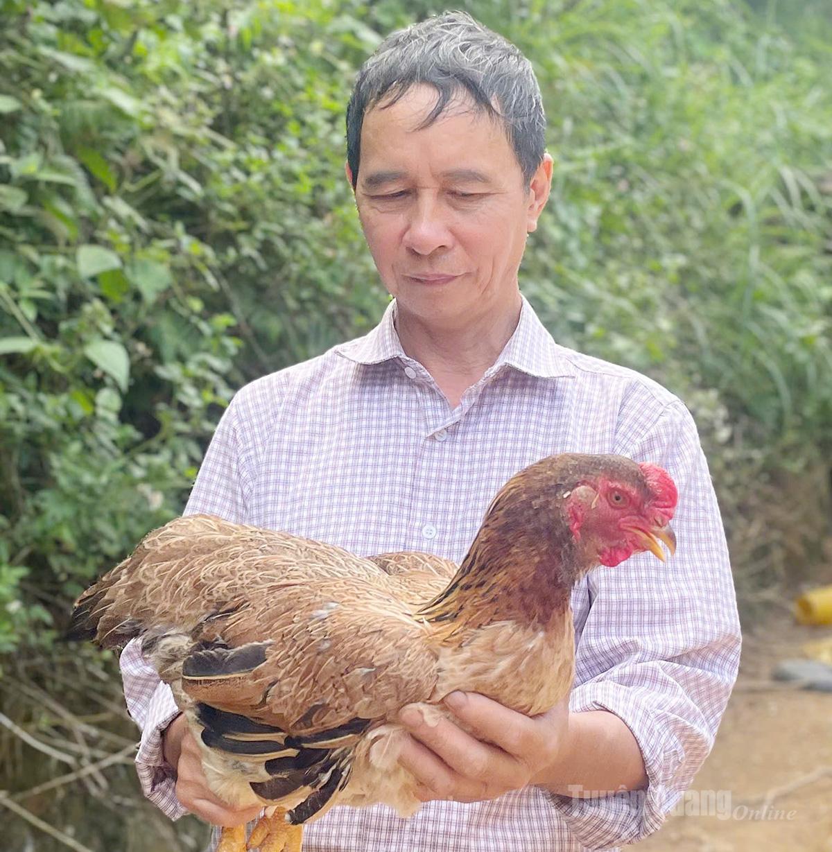 Gà ri thả vườn của ông Trần Văn Khoa, thôn Đông Ninh,
xã Đông Thọ, lớn nhanh, ít bệnh, trở thành nguồn thu ổn định của gia đình.