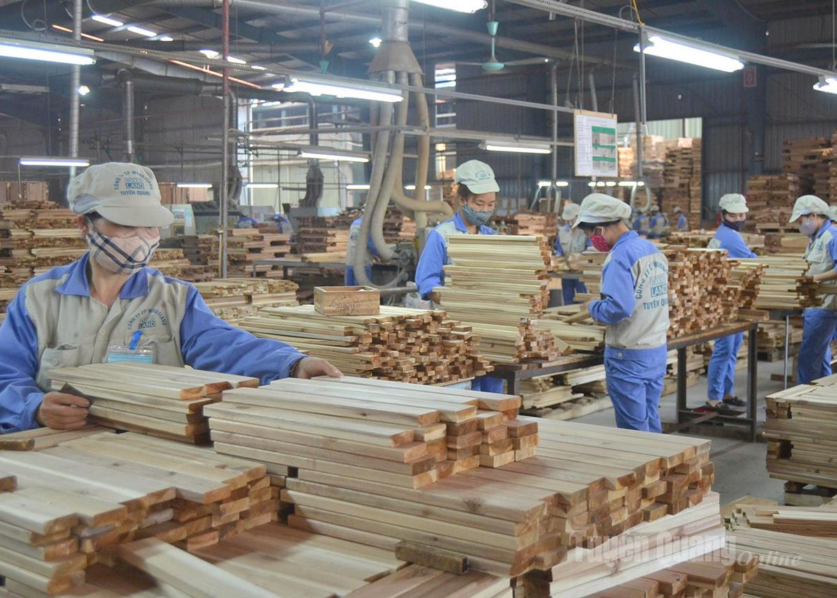 Người lao động làm việc tại 
Nhà máy chế biến gỗ xuất khẩu của Công ty cổ phần Woodsland 
Tuyên Quang.