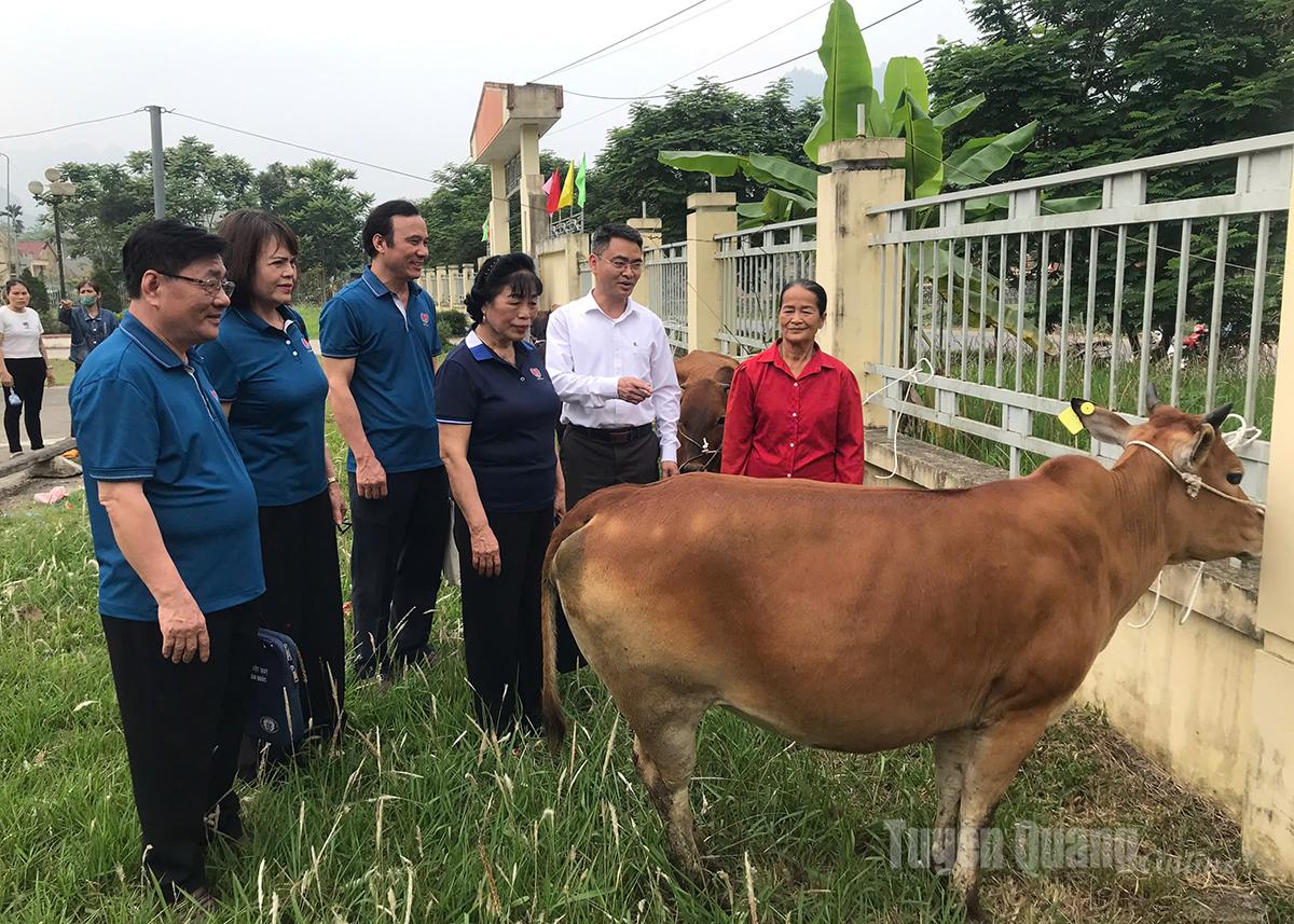 Hội bảo trợ Người khuyết tật và Trẻ mồ côi tỉnh trao bò giống theo Dự án cho các hộ gia đình người khuyết tật xã Yên Nguyên.