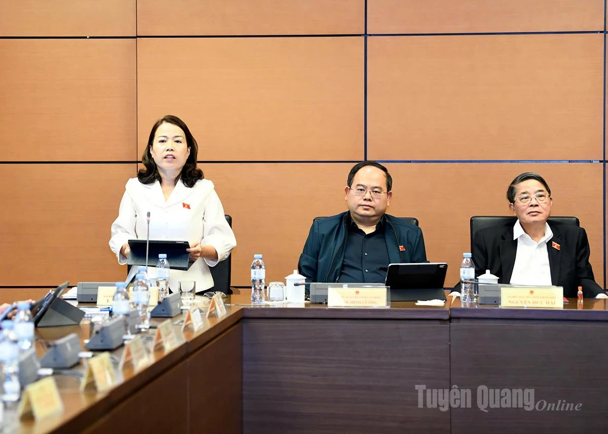 Trưởng Đoàn ĐBQH tỉnh Lý Thị Lan phát biểu thảo luận.