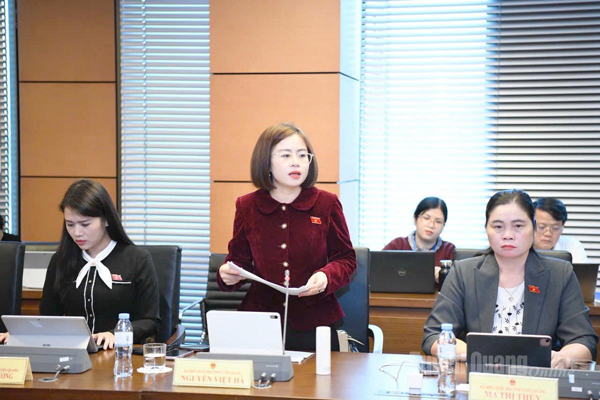 Đại biểu Nguyễn Việt Hà phát biểu thảo luận.