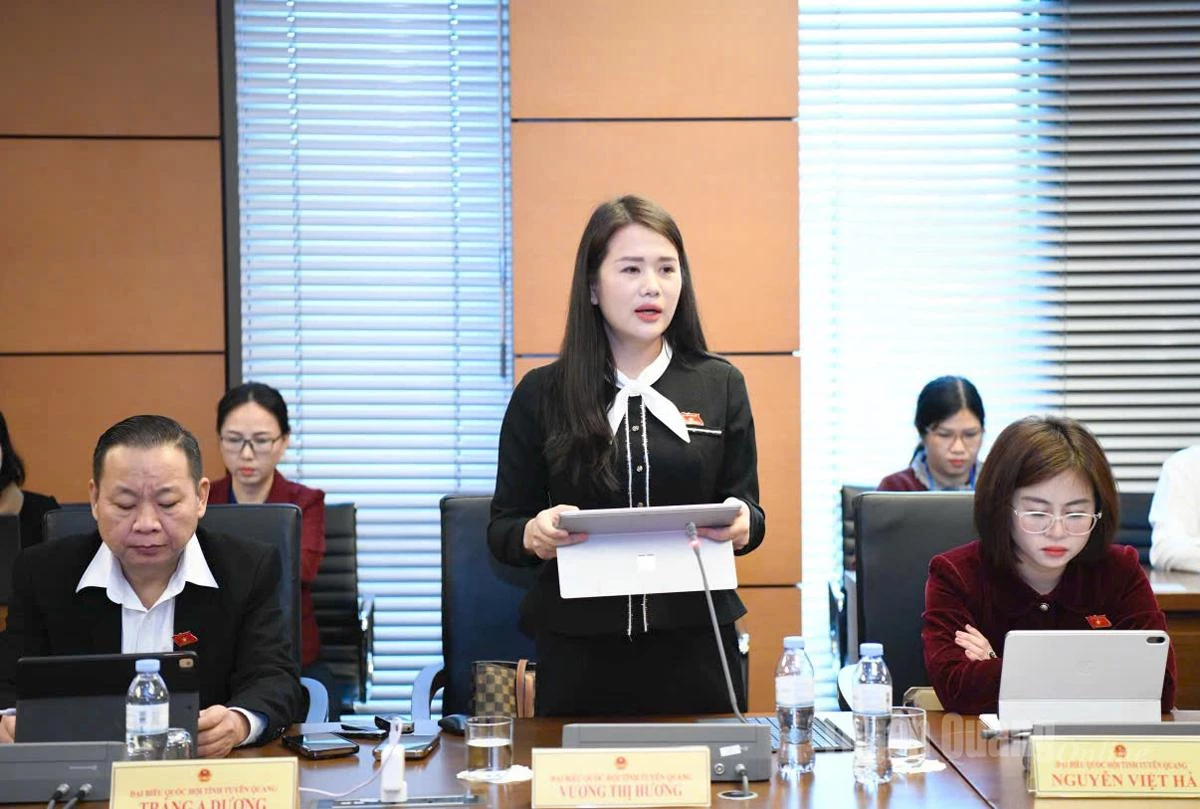 Đại biểu Vương Thị Hương phát biểu thảo luận.