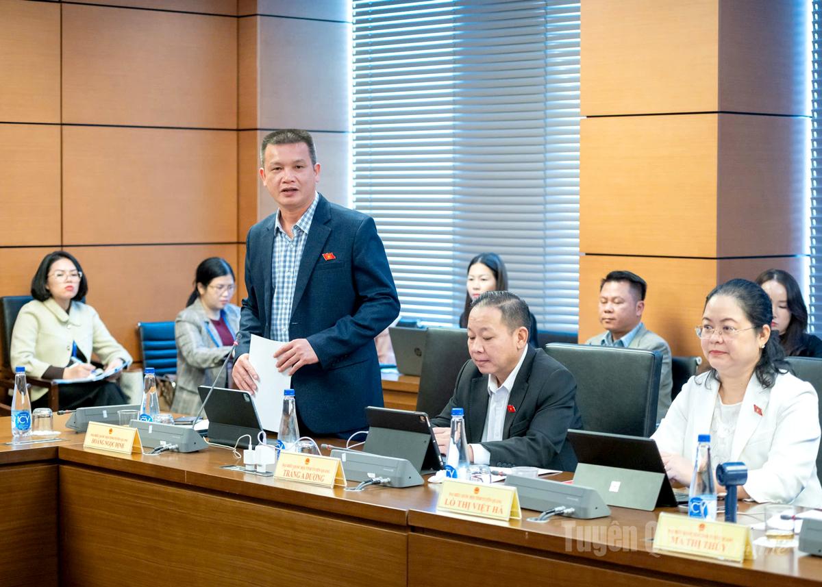 Đại biểu Hoàng Ngọc Định phát biểu thảo luận.