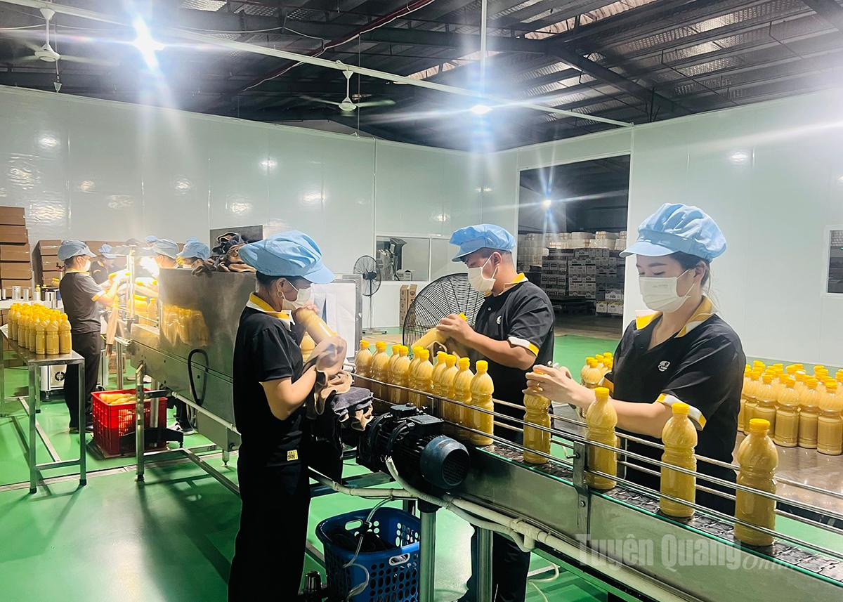 The automatic cooking wine and fermented rice production line of Khanh Xuan Co., Ltd.