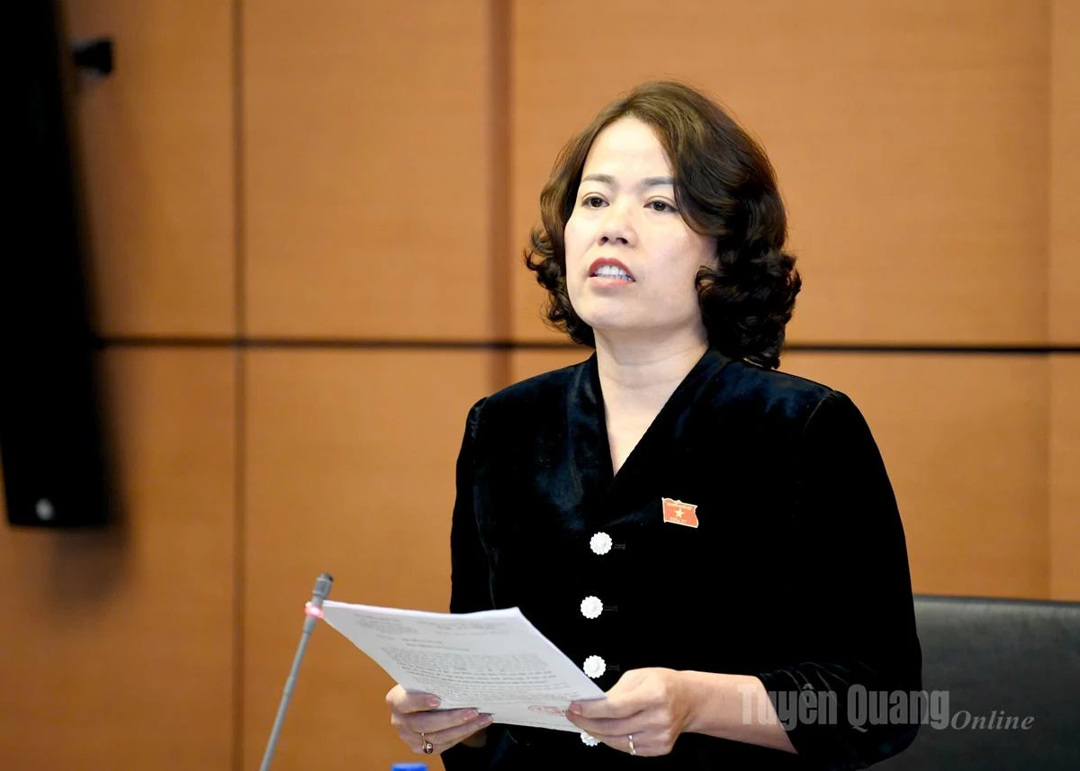 Trưởng Đoàn đại biểu Quốc hội tỉnh Lý Thị Lan phát biểu thảo luận.