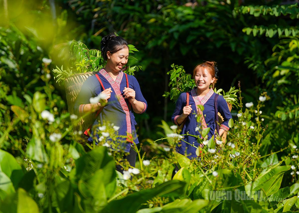 Resort staff harvest herbs to prepare herbal baths for guests.