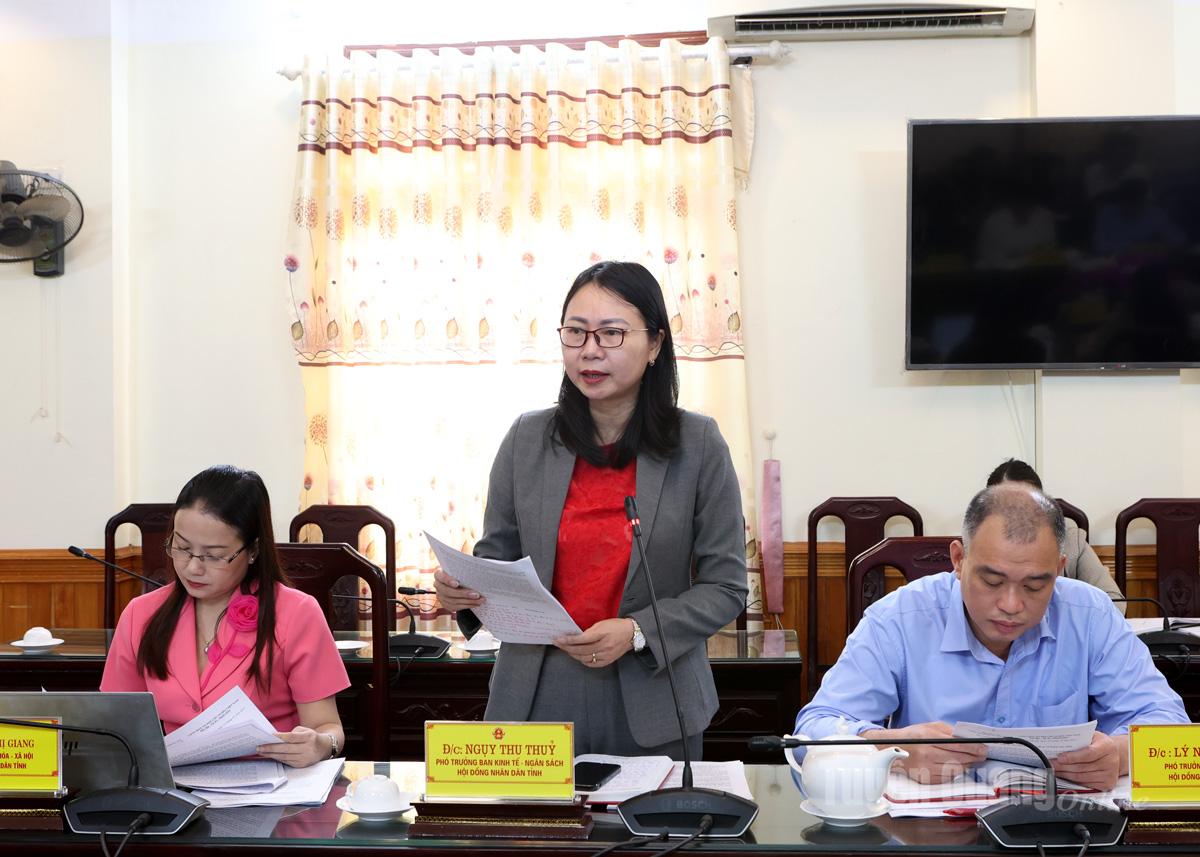 Lãnh đạo Ban Kinh tế - Ngân sách HĐND tỉnh phát biểu ý kiến.