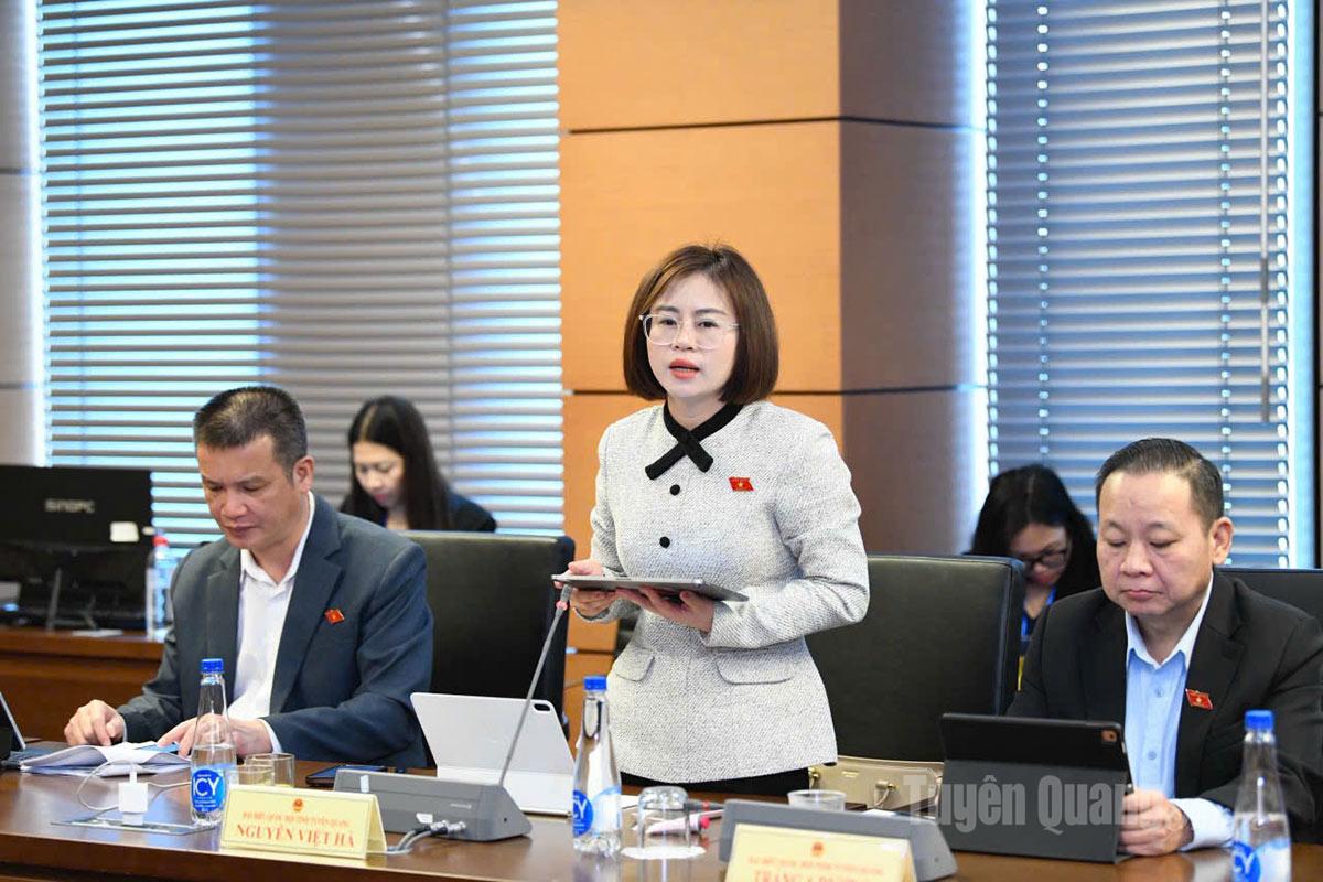 Đại biểu Nguyễn Việt Hà phát biểu thảo luận.