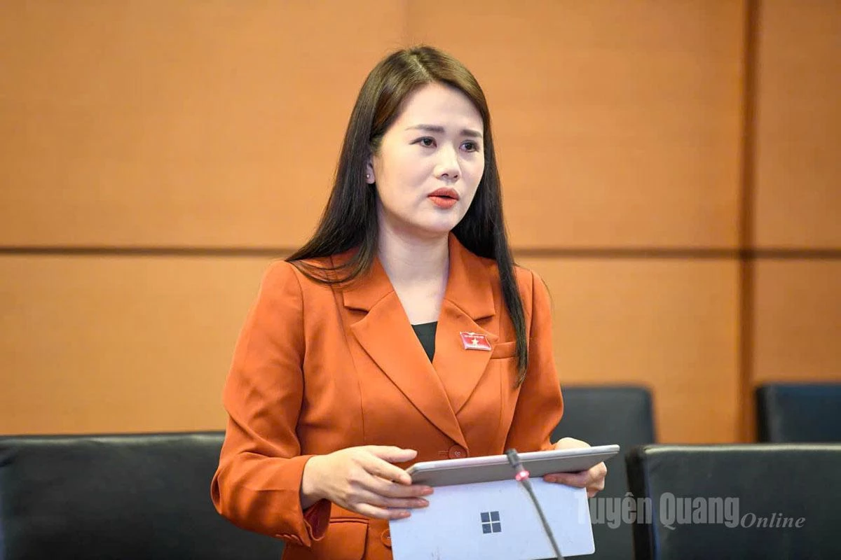 Đại biểu Vương Thị Hương phát biểu thảo luận.