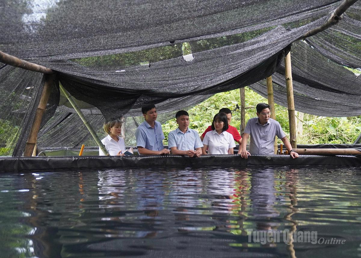 Lãnh đạo Agribank chi nhánh Tuyên Quang thăm mô hình nuôi cá lồng và khảo sát nhu cầu vốn của khách hàng.