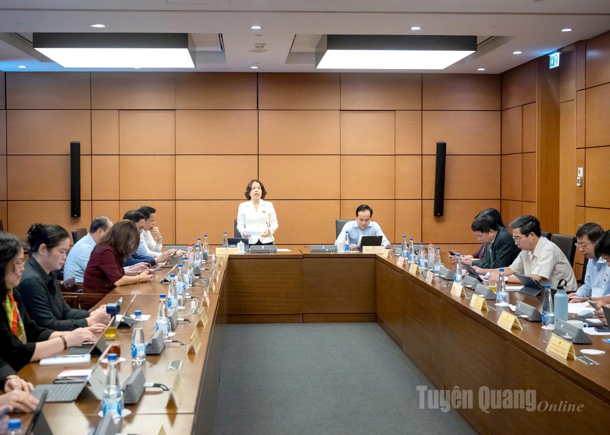 Các đại biểu tại phiên thảo luận tổ.