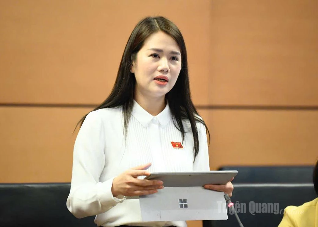 Đại biểu Vương Thị Hương phát biểu thảo luận.