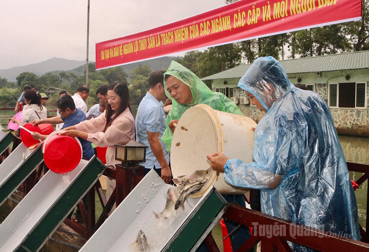 Đông đảo bà con nhân dân tham gia thả cá giống xuống sông.