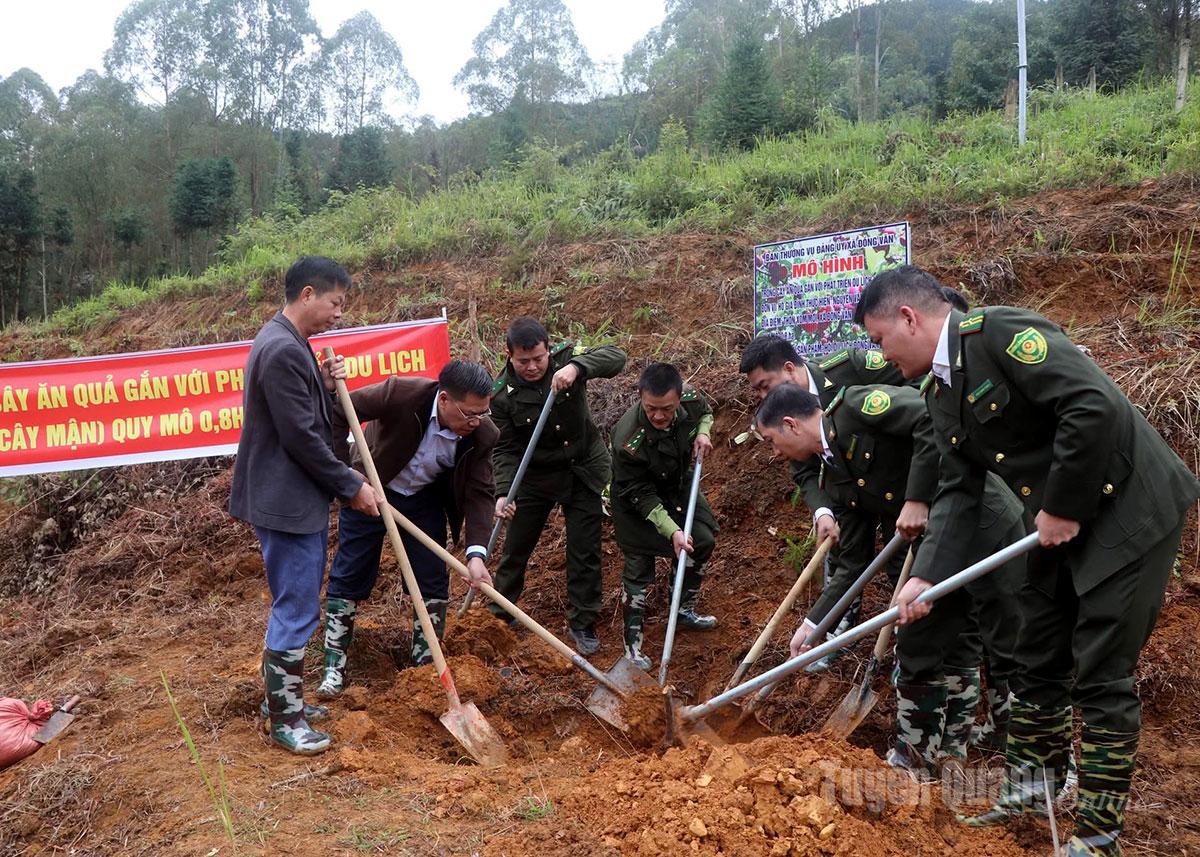 Lãnh đạo xã Đồng Văn và lực lượng kiểm lâm hỗ trợ gia đình anh Nguyễn Văn Tuyển, thôn Xóm Mới trồng cây mận.