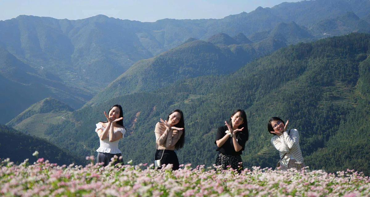 Visitors take photos with the buckwheat flowers.