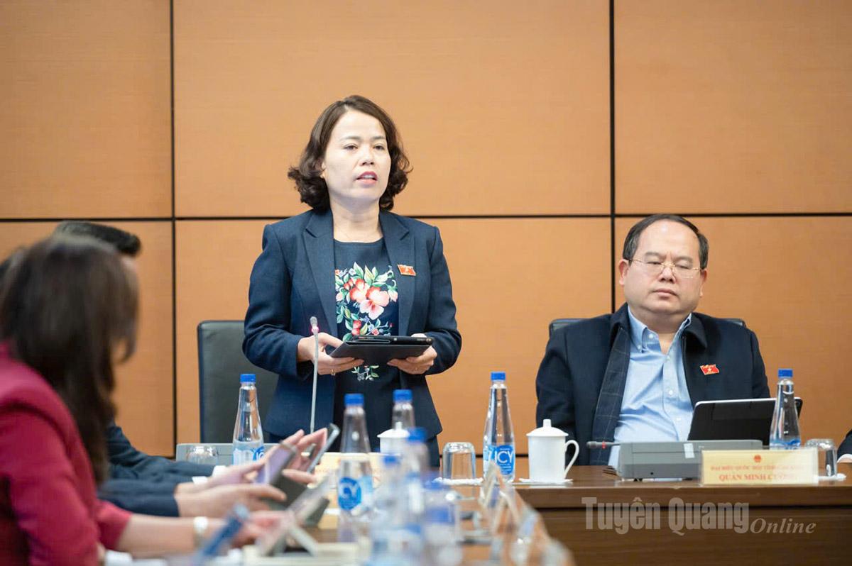 Trưởng Đoàn đại biểu Quốc hội chuyên trách tỉnh Tuyên Quang Lý Thị Lan phát biểu thảo luận.
