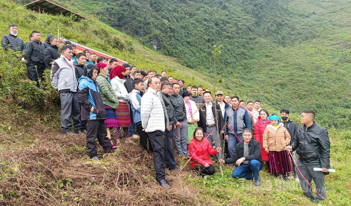 Các đại biểu tham quan mô hình trồng cây lê tại thôn Mã Pì Lèng, xã Mèo Vạc.