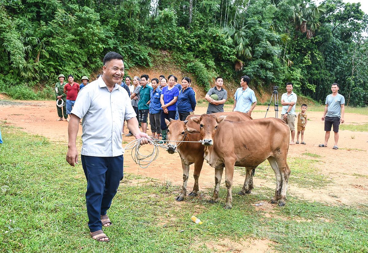 Người dân xã Chiêm Hóa được hỗ trợ phát triển sản xuất liên kết theo chuỗi giá trị sản phẩm bò H’Mông trên địa bàn.