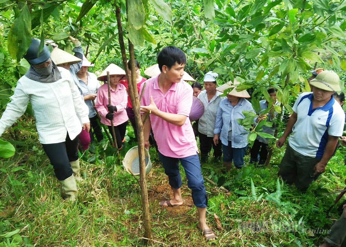 Học viên thực tế kỹ thuật chăm sóc rừng trồng.