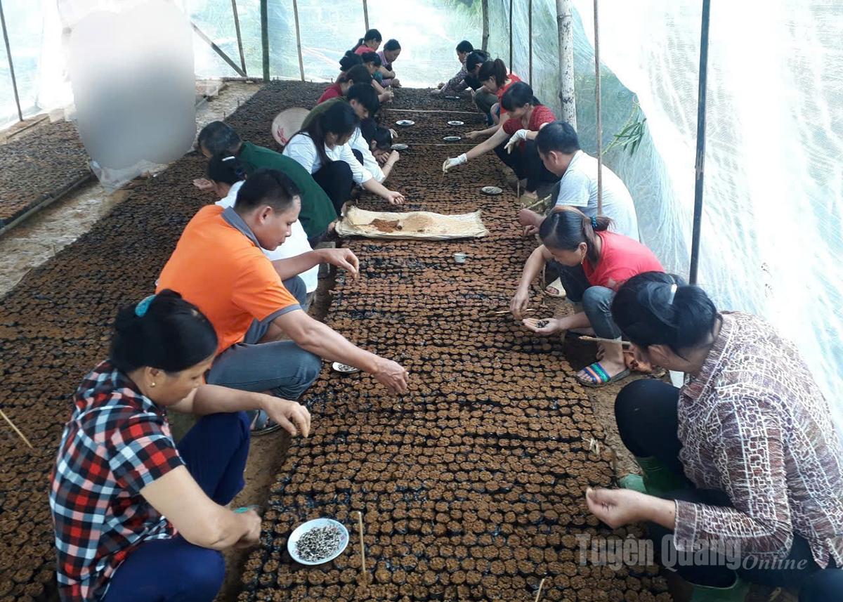 Giờ thực hành môn lâm sinh.