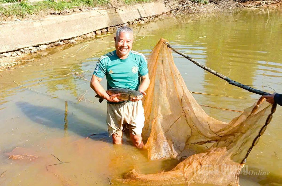 Ông Hoàng Trung Cường, thôn Mác Hạ, xã Tân Trịnh nuôi cá thương phẩm cho hiệu quả kinh tế cao.