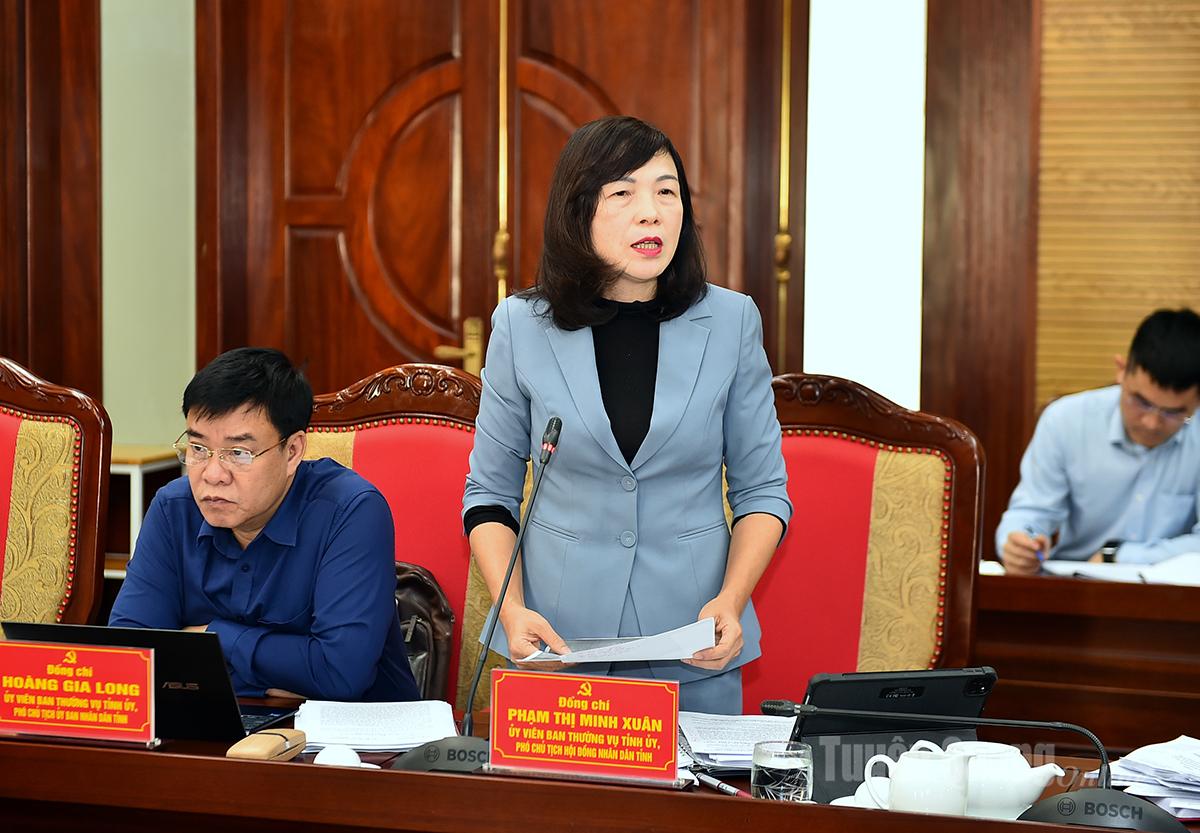 Đồng chí Phó Chủ tịch HĐND tỉnh Phạm Thị Minh Xuân phát biểu tại hội nghị.