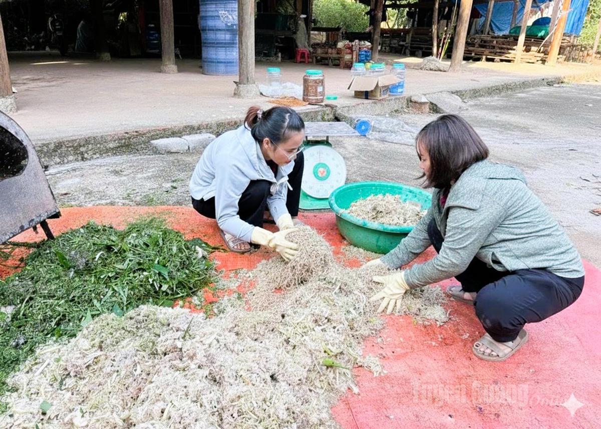 Các thành viên trong nhóm chăn nuôi lợn tại xã Bằng Lang được tập huấn kỹ thuật chăn nuôi theo phương pháp an toàn sinh học.