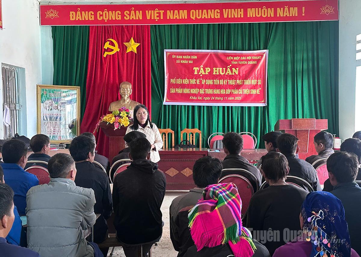 Lớp tập huấn kỹ thuật chăn nuôi lợn sinh sản, vỗ béo bò thịt tại xã Khâu Vai.