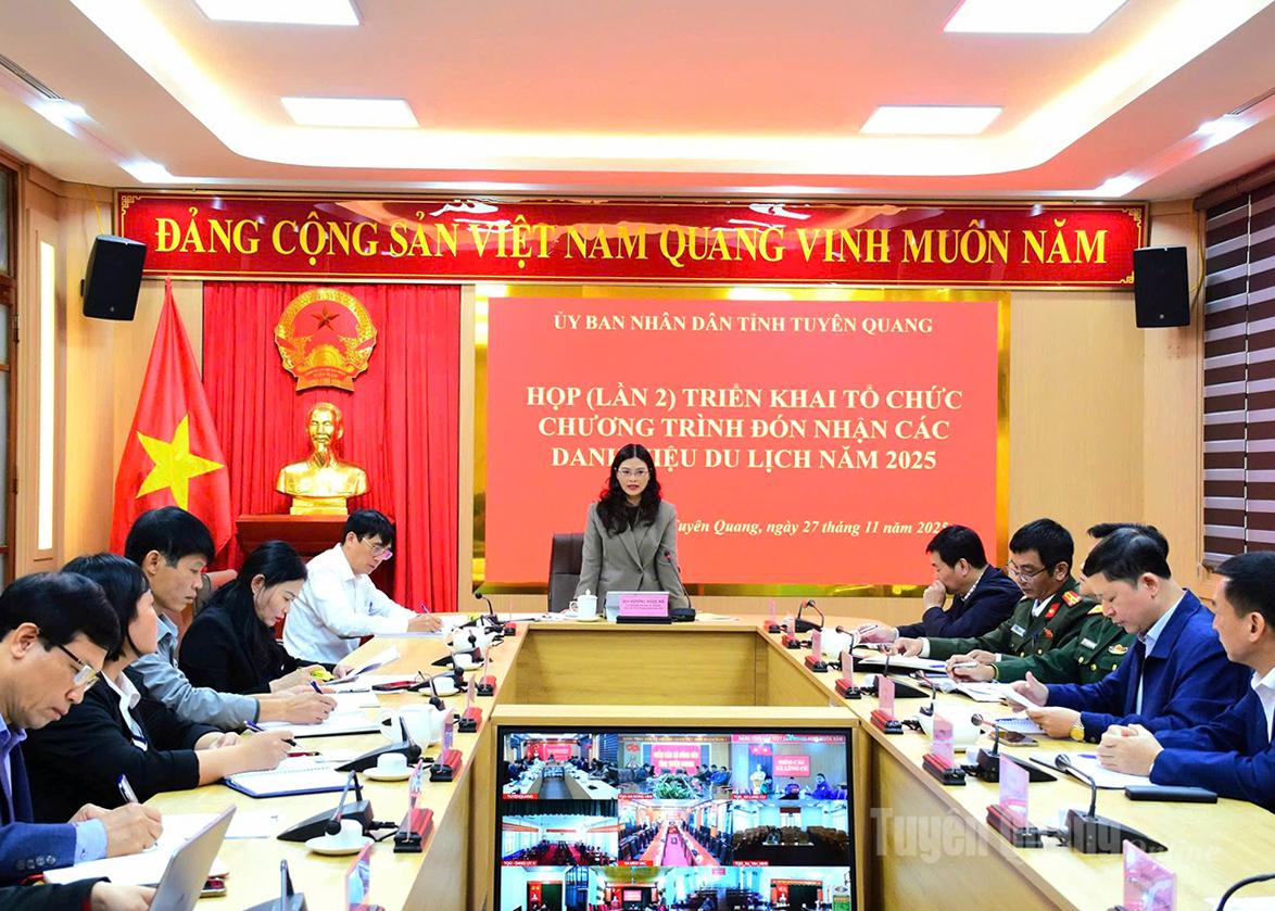 Đồng chí Vương Ngọc Hà, Uỷ viên Ban Thường vụ Tỉnh uỷ, Phó Chủ tịch UBND tỉnh phát biểu chỉ đạo tại cuộc họp.