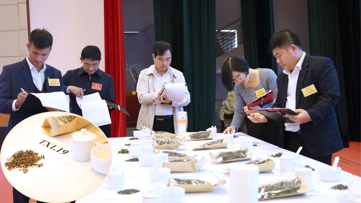 In the Shan Tuyet Tea Product category, the Jury and Organizing Committee evaluated tea samples based on aroma, taste, color, and processing methods.