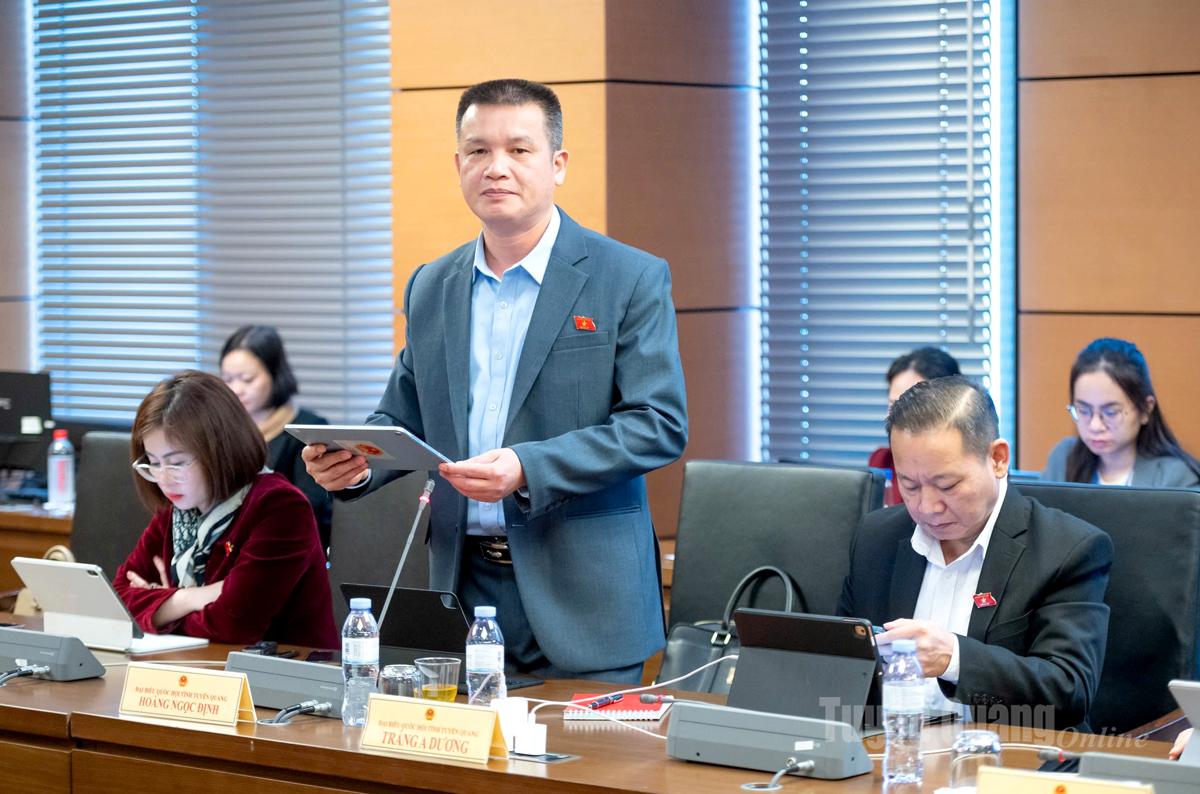 Đại biểu Hoàng Ngọc Định phát biểu thảo luận.