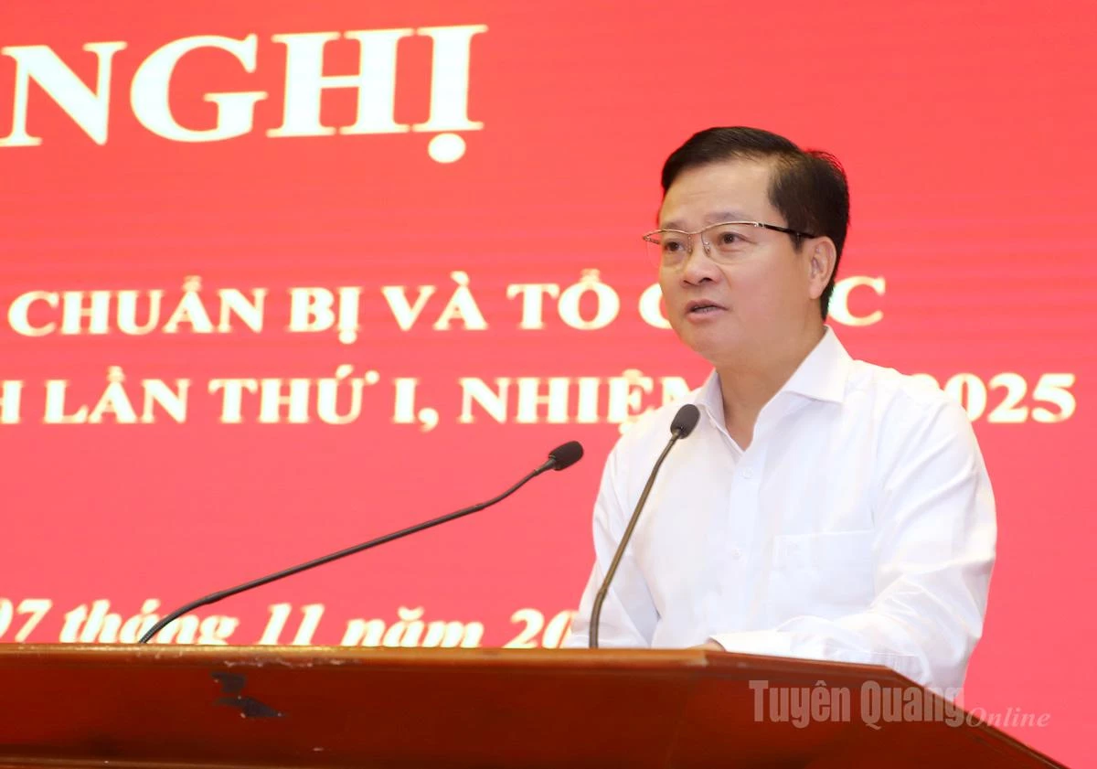 Trưởng Ban Tổ chức Tỉnh ủy Trần Quang Minh báo cáo tại hội nghị.