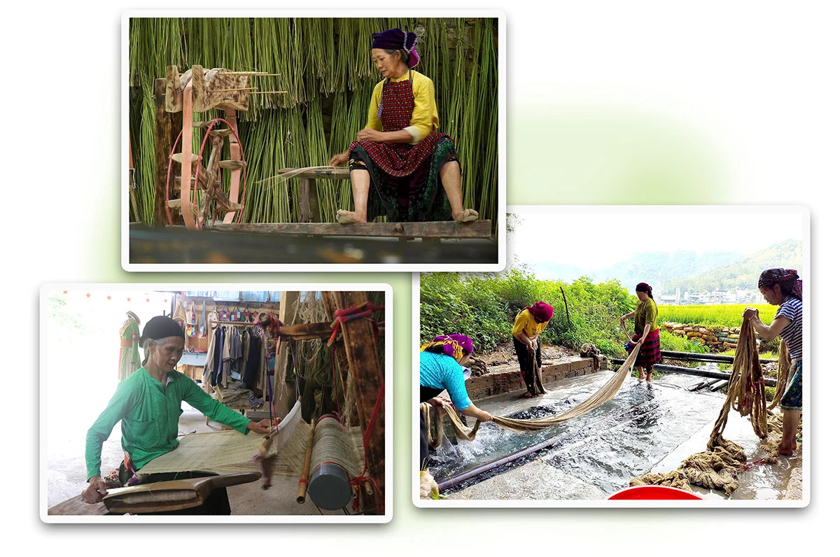 Mô hình HTX của Dế mở ra cách tiếp cận mới trong việc bảo tồn văn hóa gắn với phát triển kinh tế.