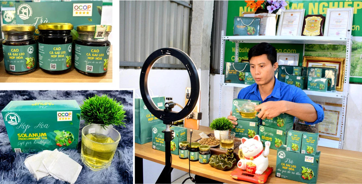 Anh Bùi Văn Hoàng, Giám đốc HTX Dịch vụ sản xuất, chế biến Nông lâm nghiệp Hợp Hòa livestream bán các sản phẩm từ cà gai leo trên mạng xã hội.