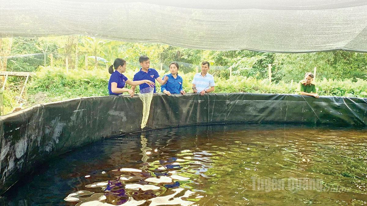 The sturgeon farming model by Luong Van Huu, the Secretary of the village youth union, has become a prominent destination for young people learning about economic development.