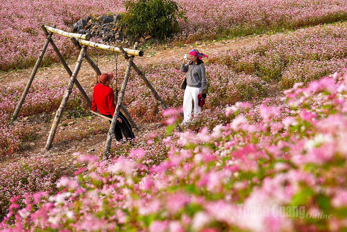 Tourists happily take photos to preserve their most beautiful memories.