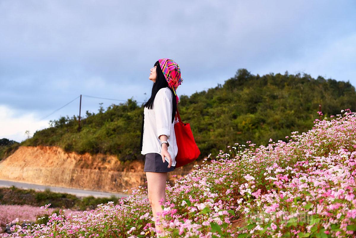 Visitors stroll through the purple flower fields, their smiles blending with the highland sunlight.