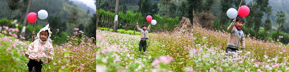 Children play beside the flower fields, their laughter carried on the cold early-season wind.