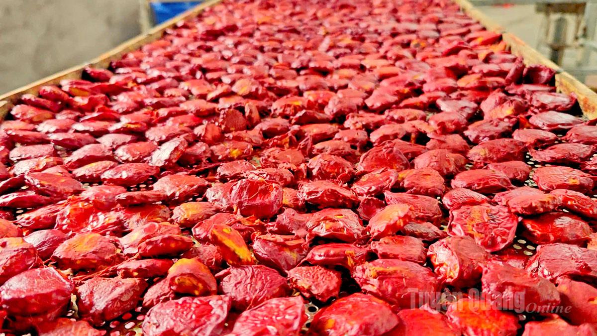 Gac seeds are dried first to make peeling easier. The seed membrane contains abundant essential oils and valuable nutrients such as beta-carotene, lycopene, and vitamin E.