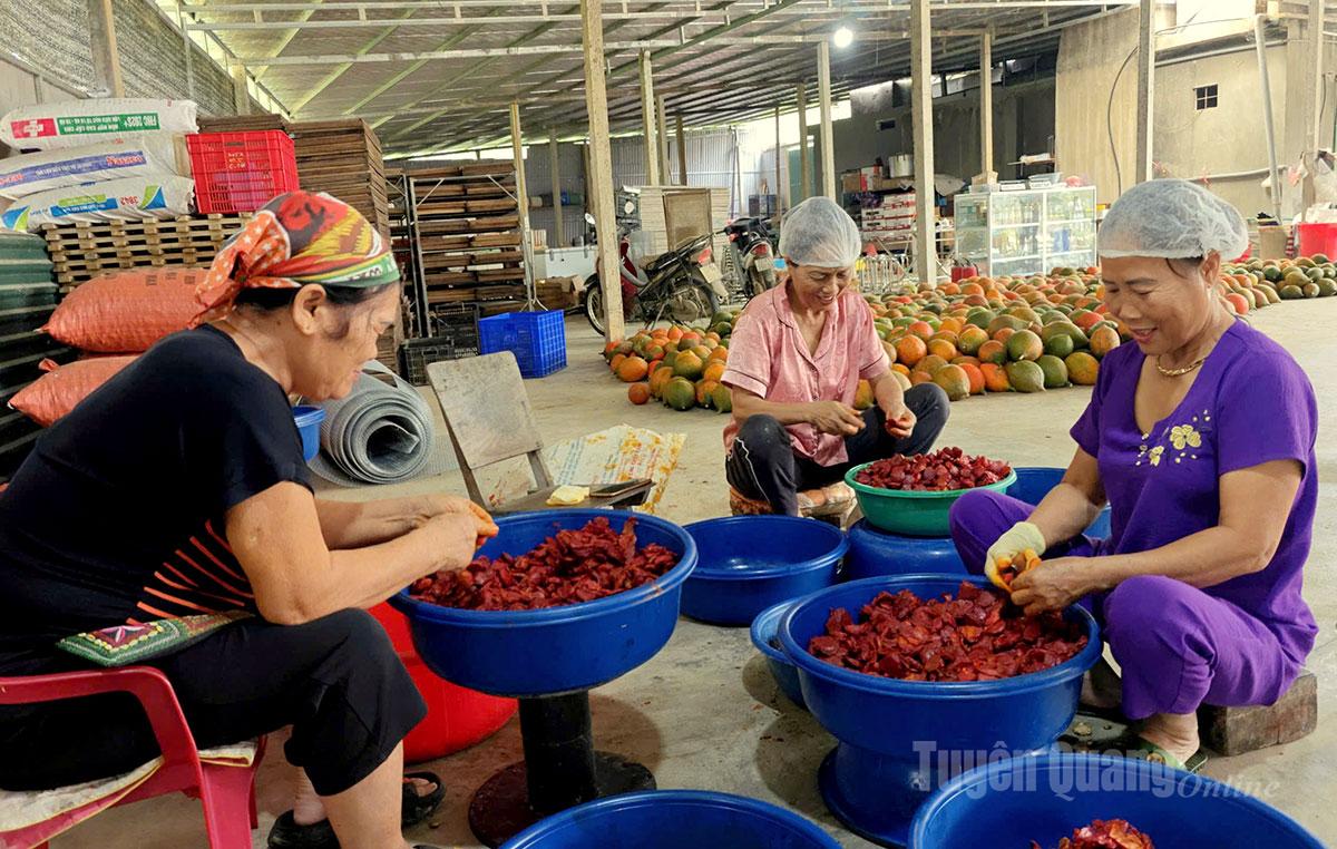 The production facility and the cooperative provide regular employment for seven workers with a stable monthly salary of VND8 million, along with many seasonal jobs paying VND200,000 per day.