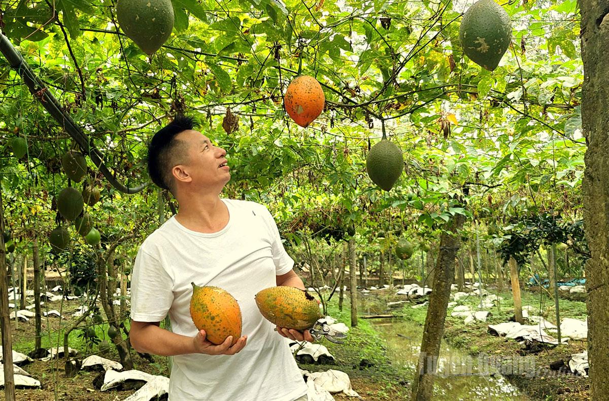 With his contributions to local agricultural development, Chung was honored with the title “Outstanding Vietnamese Farmer” in 2025 by the Vietnam Farmers’ Union.